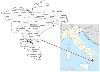 Fungal Contamination and Aflatoxin B1 Detected in Hay for Dairy Cows in South Italy